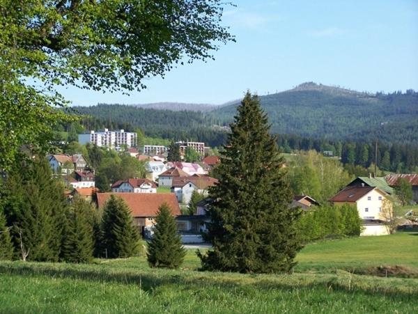 Haus Hochstein Aparthotel Haidmühle Exterior foto
